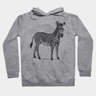 Zebra Rustic Hoodie